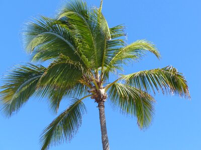 Partly cloudy blue vacations