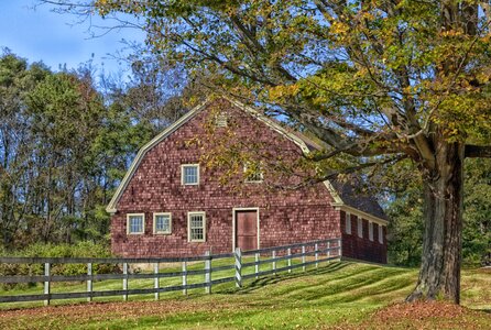 Rural barn trees