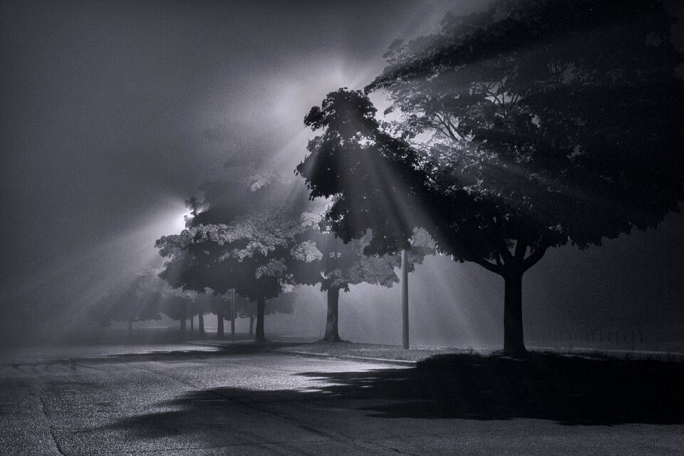 Natural bright foggy