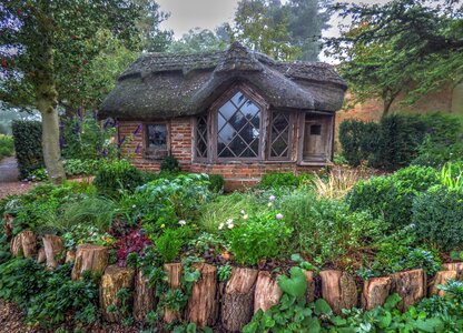 Nature house wood