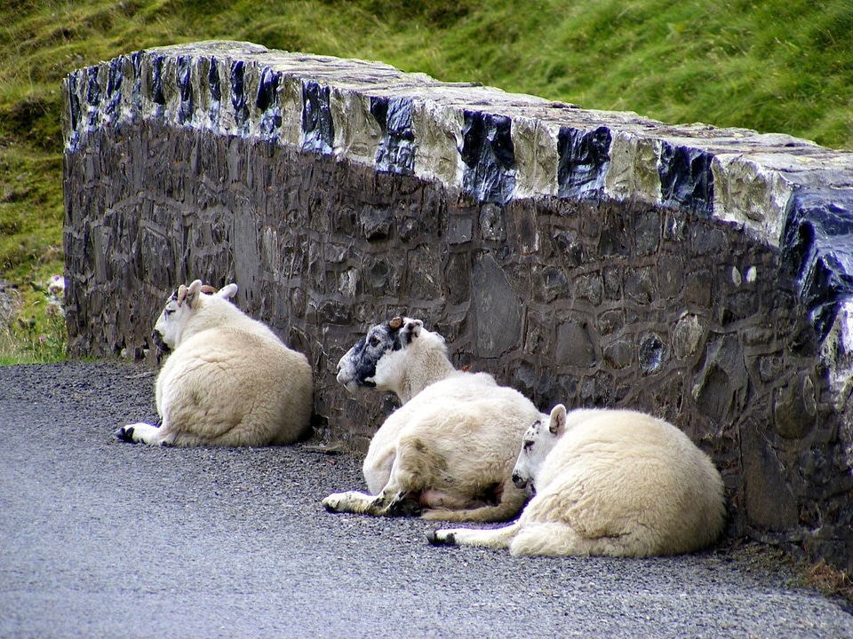 Highlands road tarmac