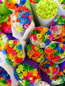 Straw flowers colorful bouquet