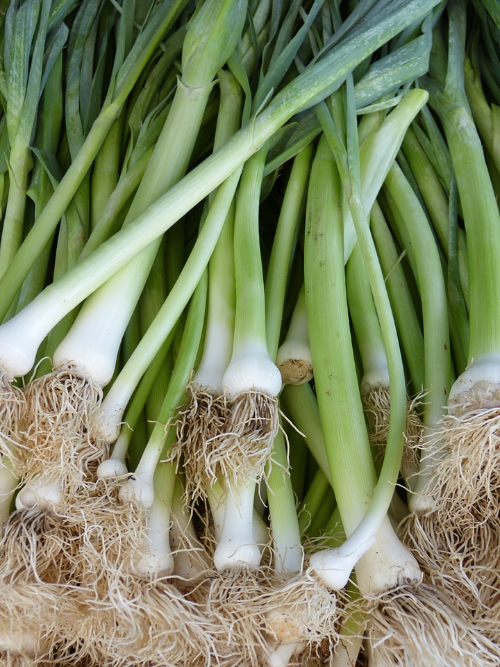 Market vegetables onion