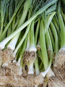 Market vegetables onion