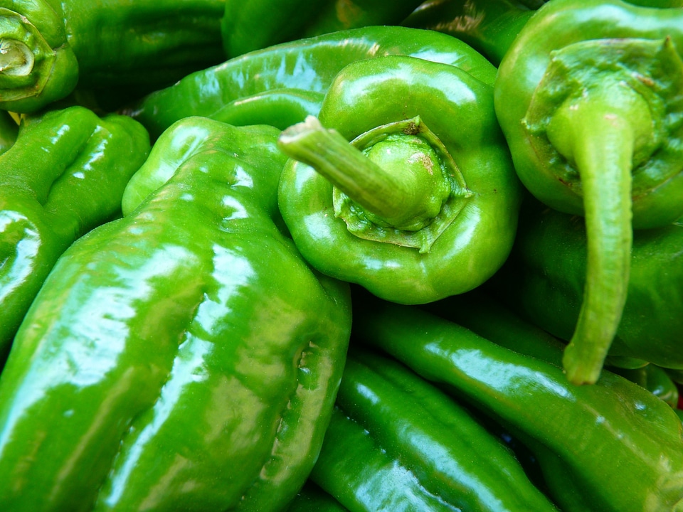 Vegetables green food