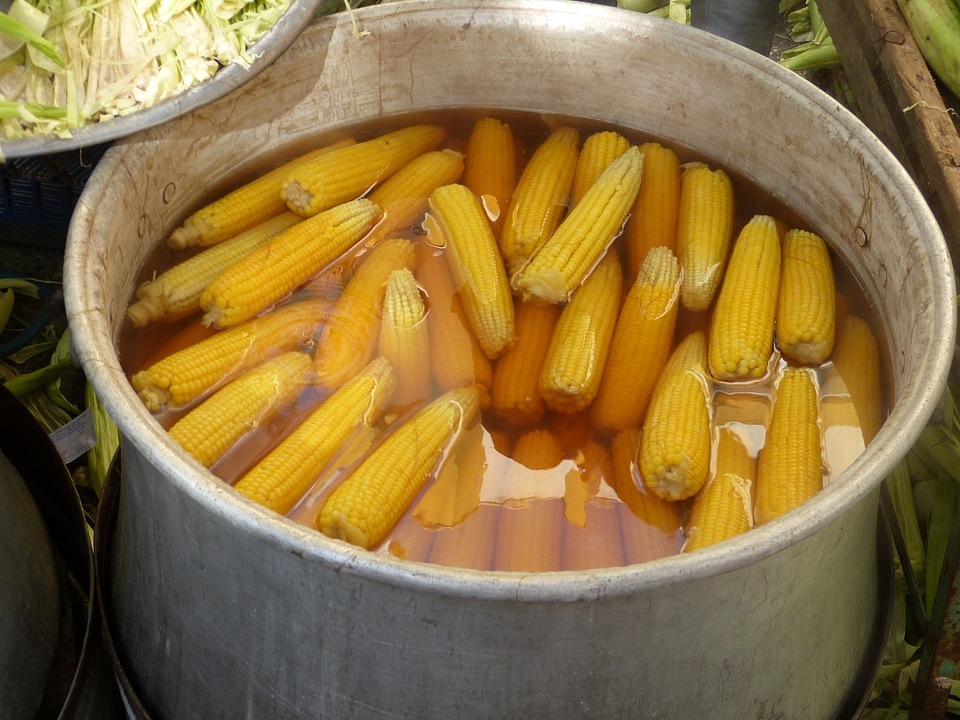 Eat corn kernels food