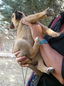Playful play cute