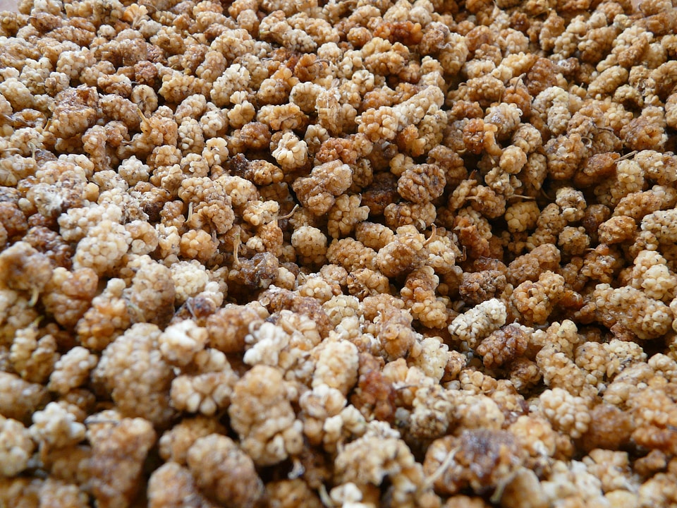 Muesli food breakfast