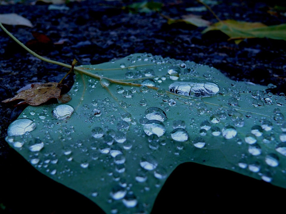 Nature picture beautiful