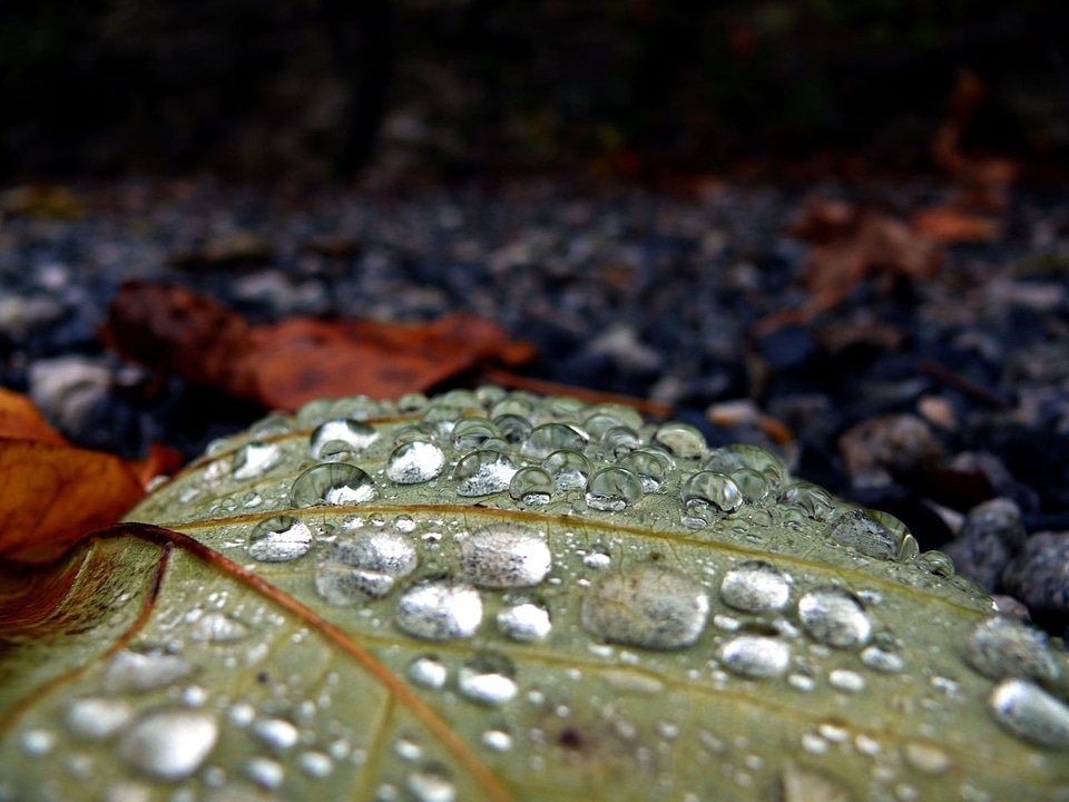 Nature picture beautiful