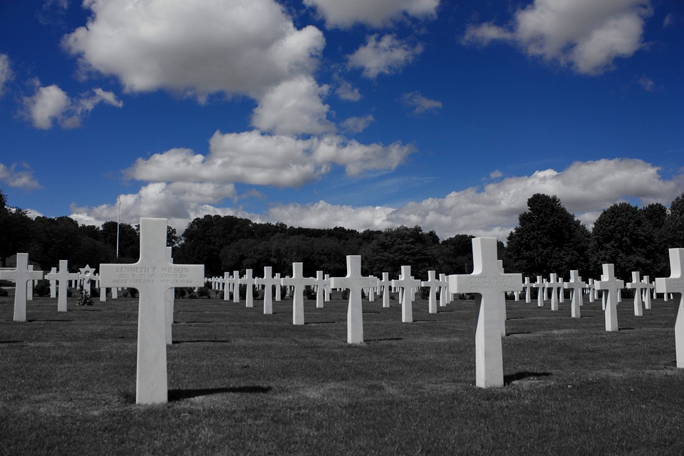 Memorial world war