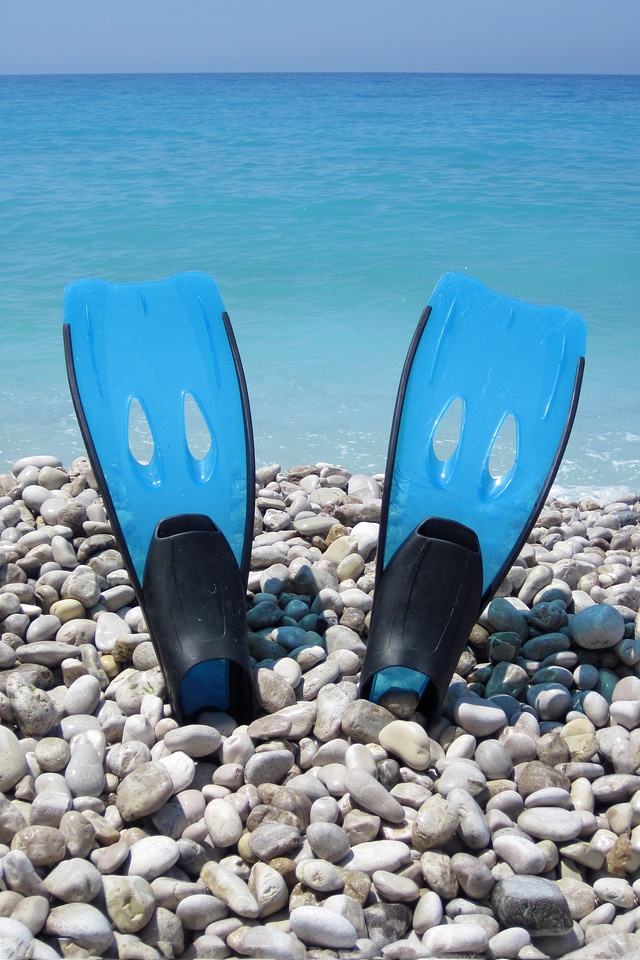 Fins flipper flippers