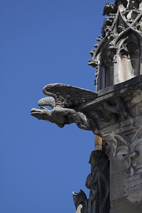 Building church gargoyle photo