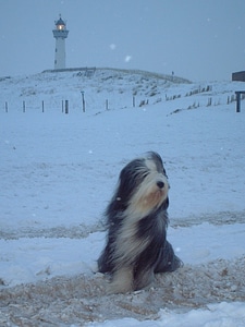 Winter snow lighthouse