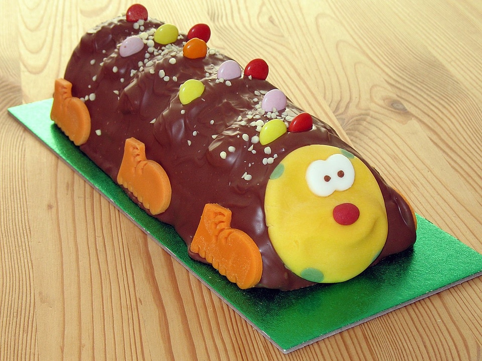 Chocolate caterpillar food