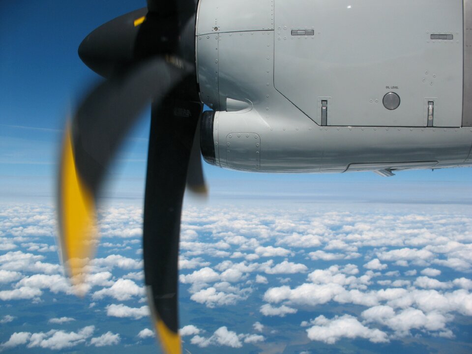 Screw flight height