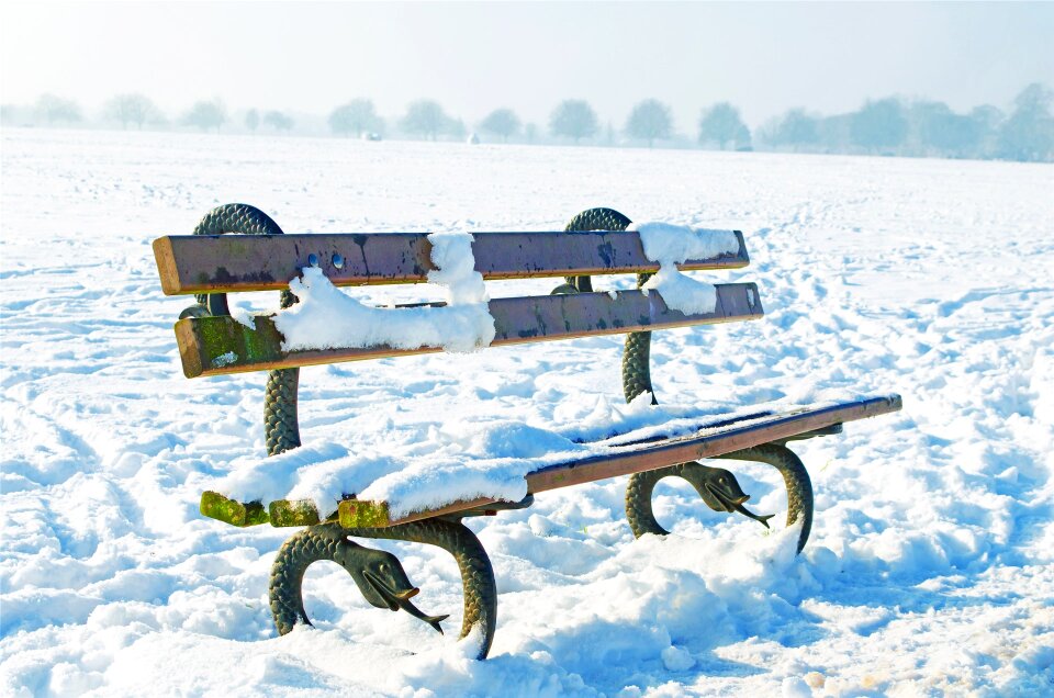 Snowy snowed seasons