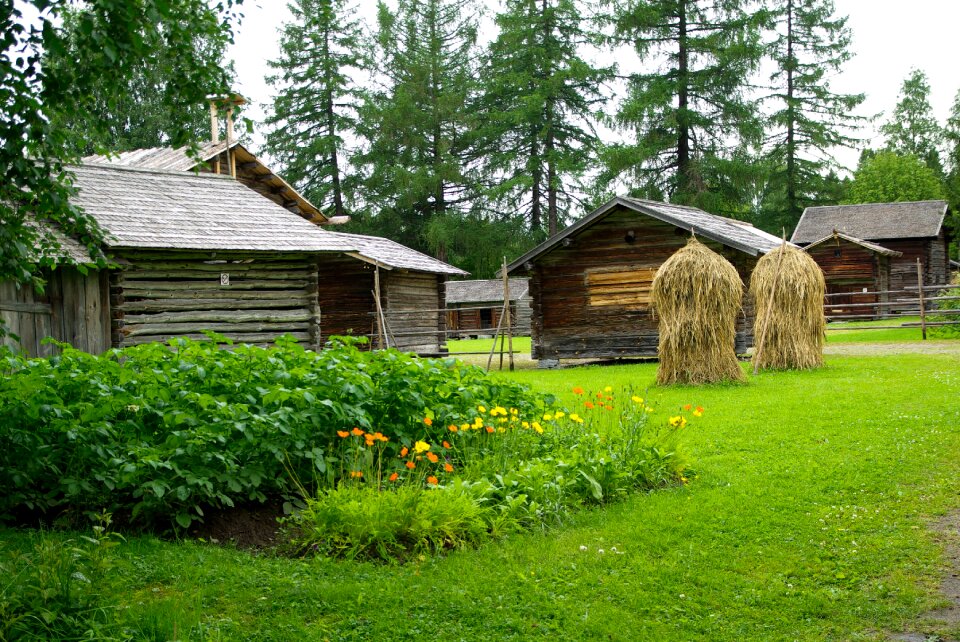 Vegetable garden haystacks wooden houses