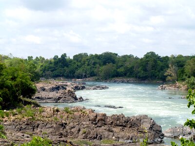 Jungle landscape river