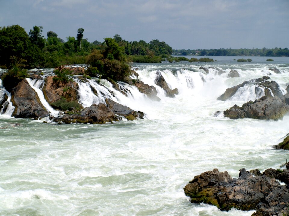 Jungle landscape river