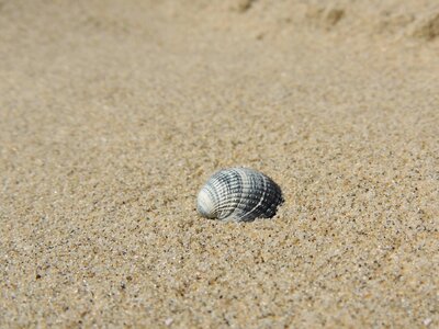 Summer sea water
