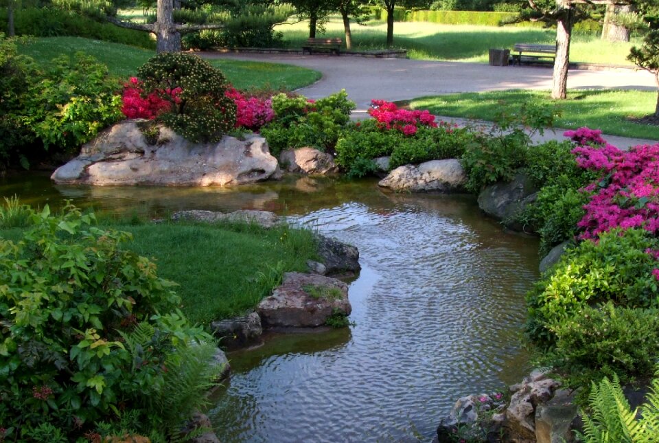 North park park flowers
