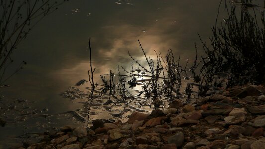 Night moonlight calm photo