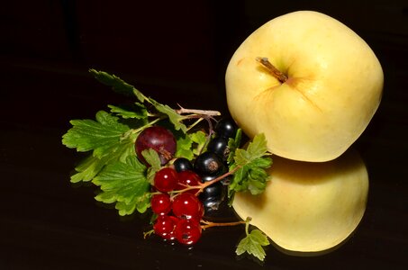 Blackcurrant apple garden