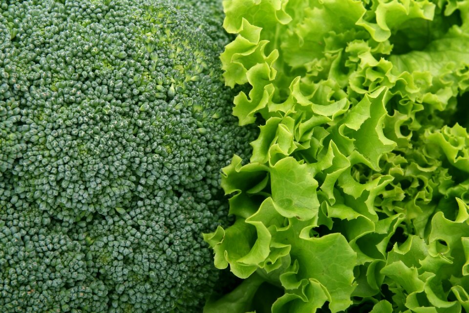 Culinary food fresh