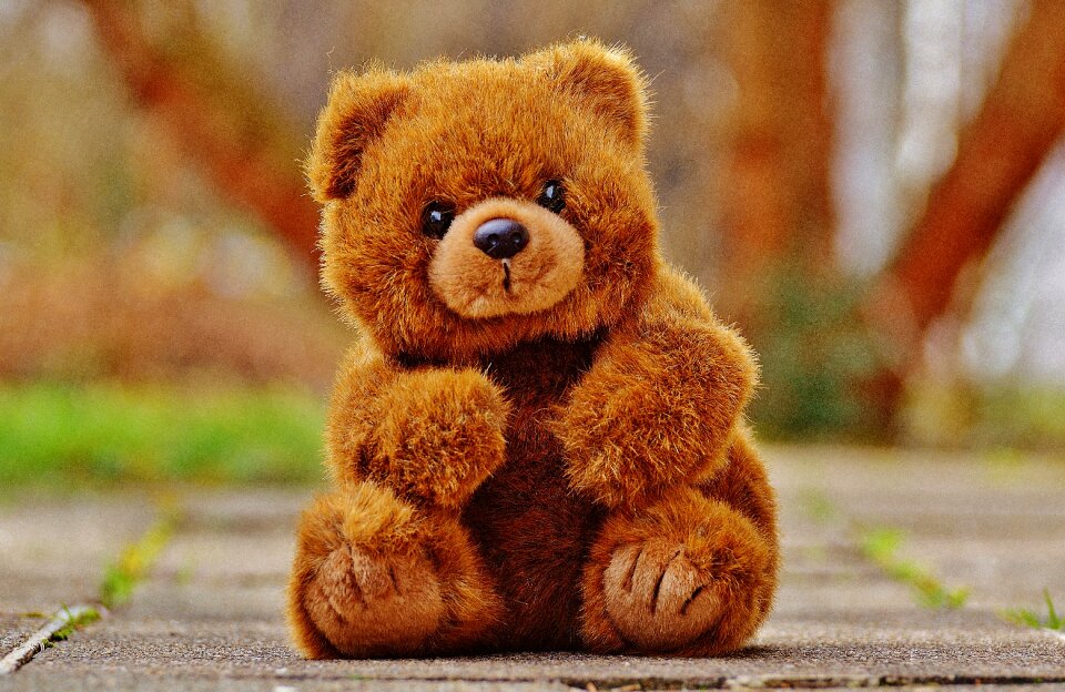 Stuffed animal teddy bear brown bear