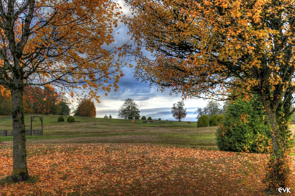 Landscape wilderness scenery