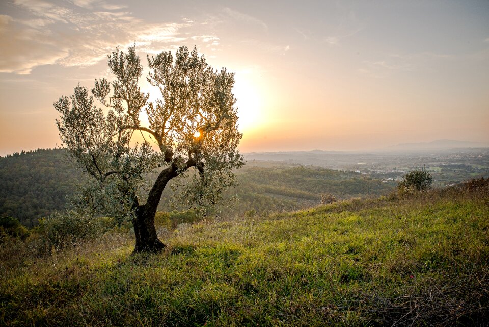 Naturaorizzontale landscaping scenario photo