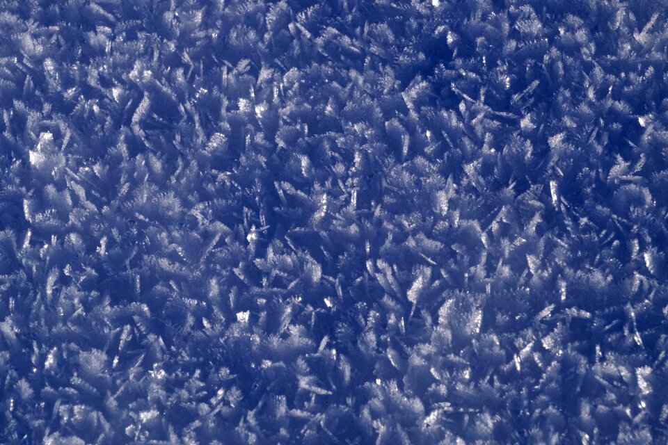 Winter cold january 2016