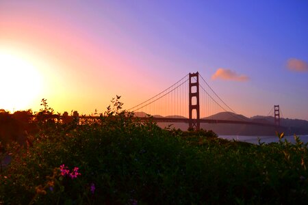 Bridge park summer