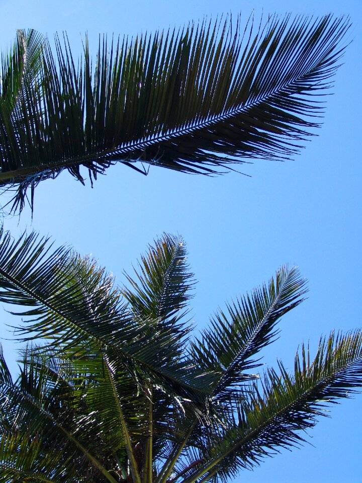 Vacations wave nature
