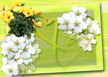 Collage postcard greeting card