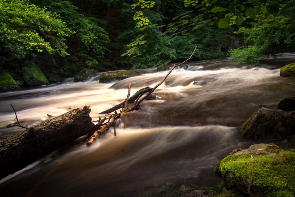 Nature landscape watercourse