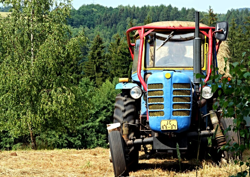 Field zetor summer