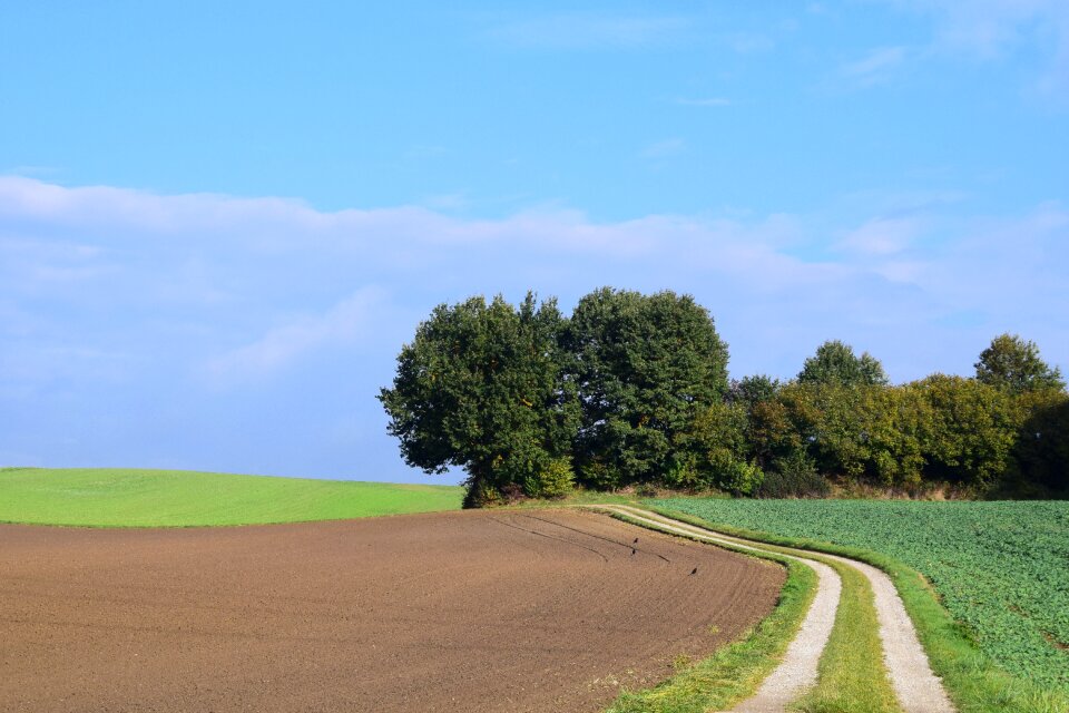 Away fields corridors