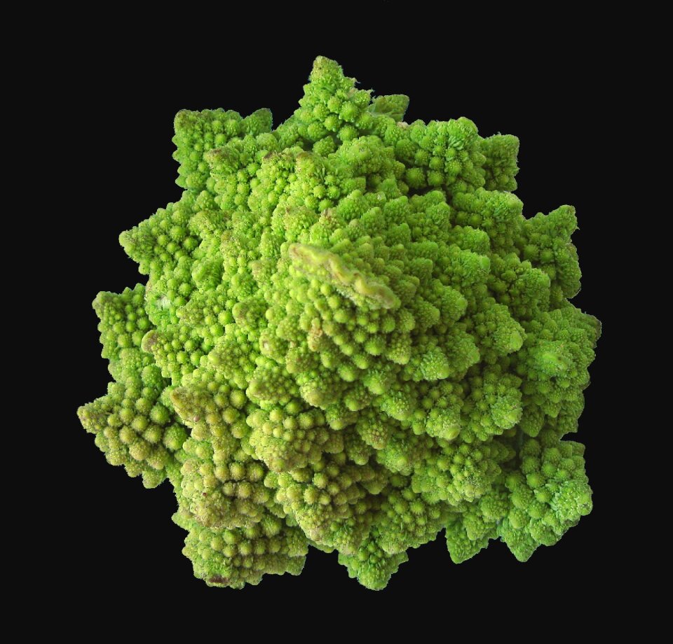 Cauliflower romanesco kitchen
