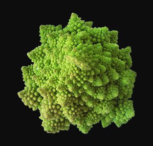 Cauliflower romanesco kitchen