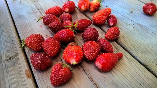 Red fruits power orchard