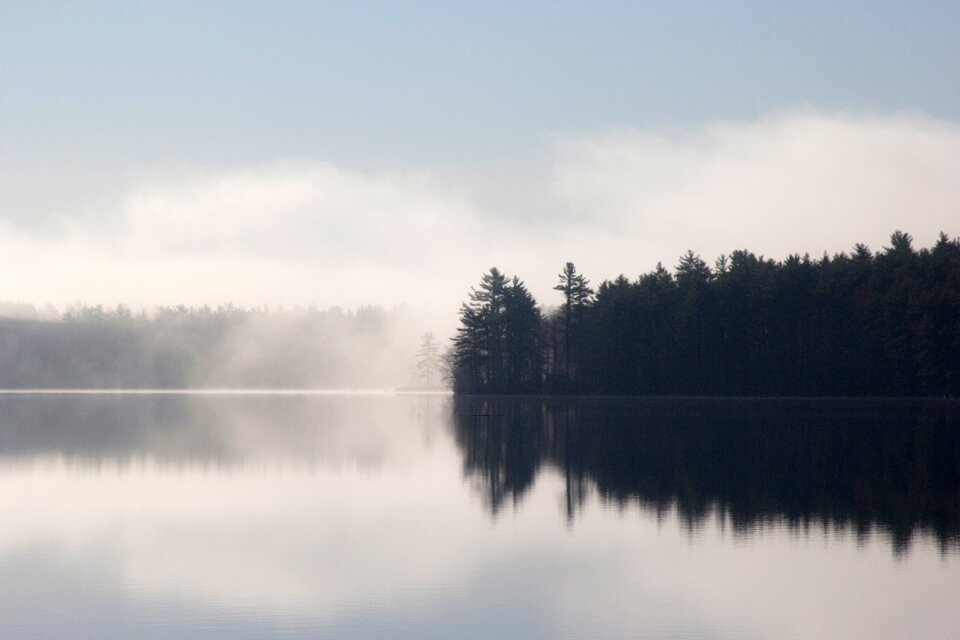 Mist trees nature photo