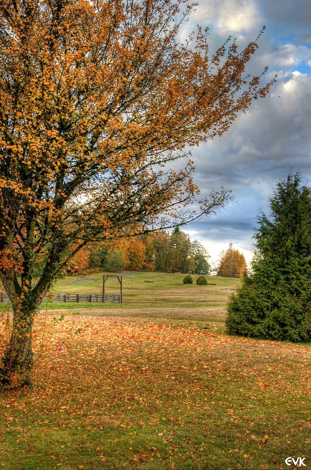 Autumn october september
