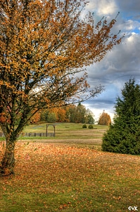 Autumn october september