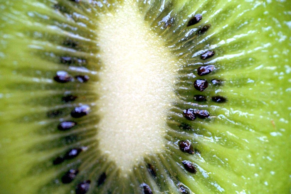 Food acidic fruits vegetable