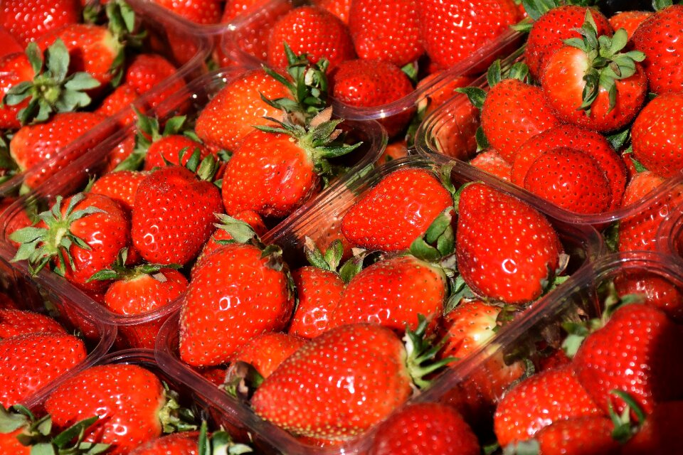 Sweet fruits market
