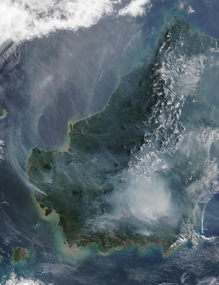 Fire smoke aerial view
