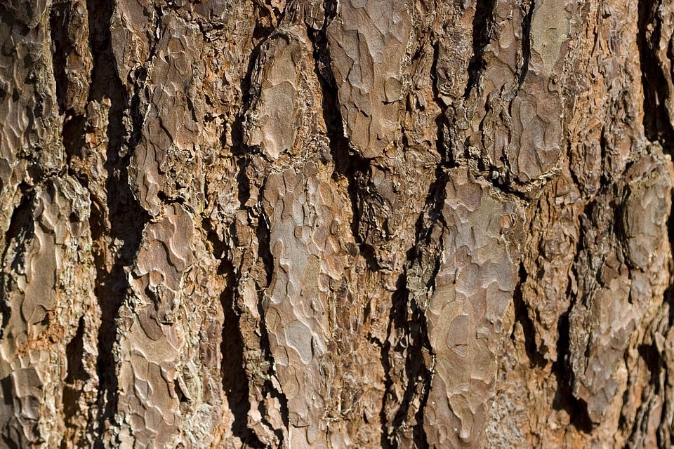 Texture background detail