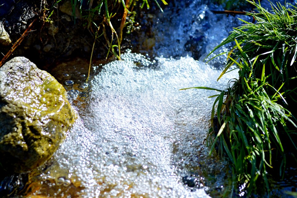 Nature air bubbles close up
